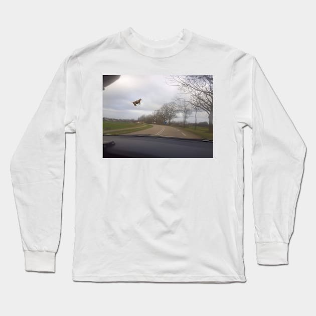 Mysterious Flying Cow - Flying Cow meme Long Sleeve T-Shirt by Y2KERA